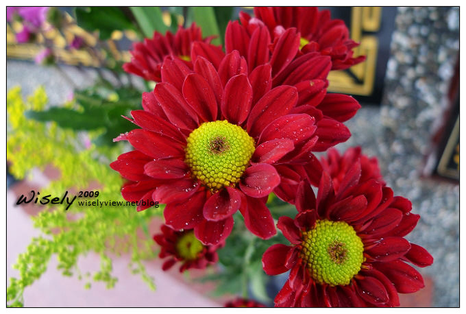 【新年】初二：每逢佳節倍思親 @WISELY's 拍拍照寫寫字