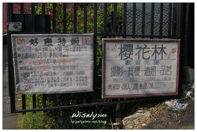 【留影】Pentax DSLR(18-55/55-200)：陽明賞櫻花春遊2009