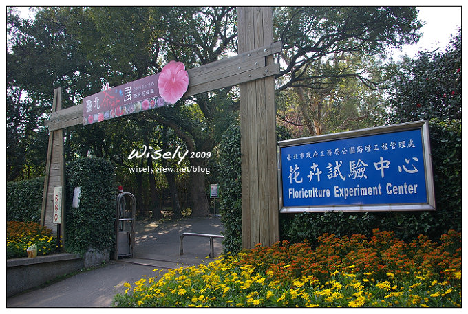 【留影】Pentax DSLR(18-55/55-200)：陽明賞櫻花春遊2009