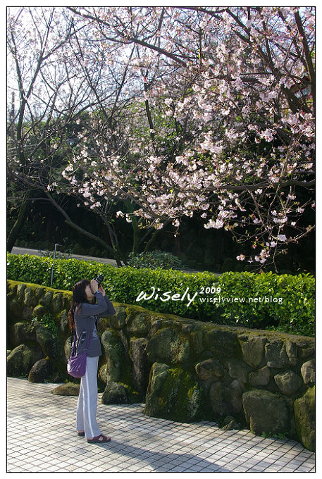 【留影】Pentax DSLR：2009無極天元宮櫻花隨拍 (23 PIC)