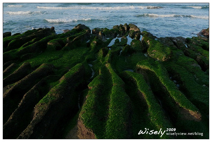 【留影】Panasonic LX3:台北.石門老梅石槽 【留影】Panasonic LX3:台北.石門老梅石槽