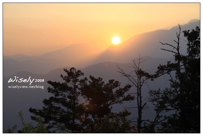 【遊記】2009阿里山賞櫻:阿里山觀日樓賞日出 -3 【遊記】2009阿里山賞櫻:阿里山觀日樓賞日出 -3