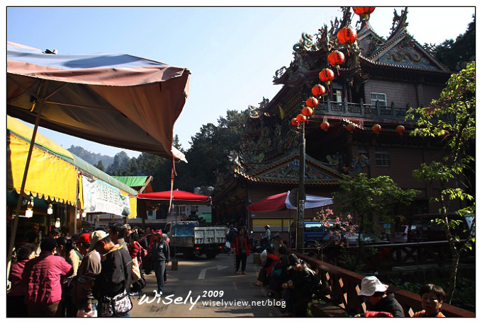 【遊記】2009阿里山賞櫻：遲了一周的美景 -4