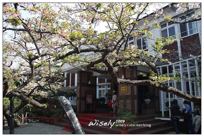 【遊記】2009阿里山賞櫻：遲了一周的美景 -4