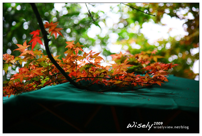 【閒遊】陽明山春遊 :台北奧萬大2009 (ABW)