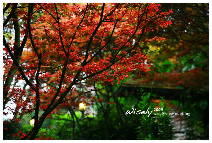 【閒遊】陽明山春遊 :台北奧萬大2009 (ABW)