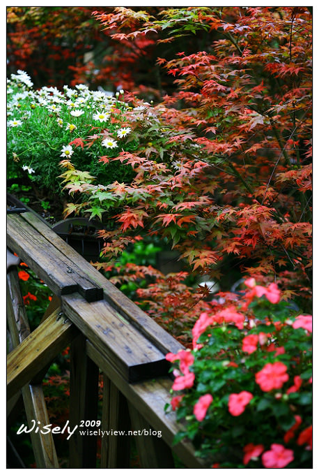 【閒遊】陽明山春遊 :台北奧萬大2009 (ABW)