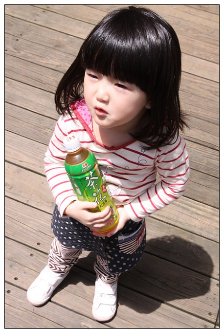 【分享】泰山冰鎮茶花綠茶／日式綠茶 (小綺喝茶記事)