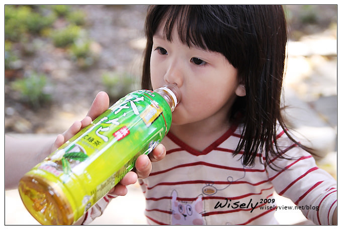 【分享】泰山冰鎮茶花綠茶／日式綠茶 (小綺喝茶記事)