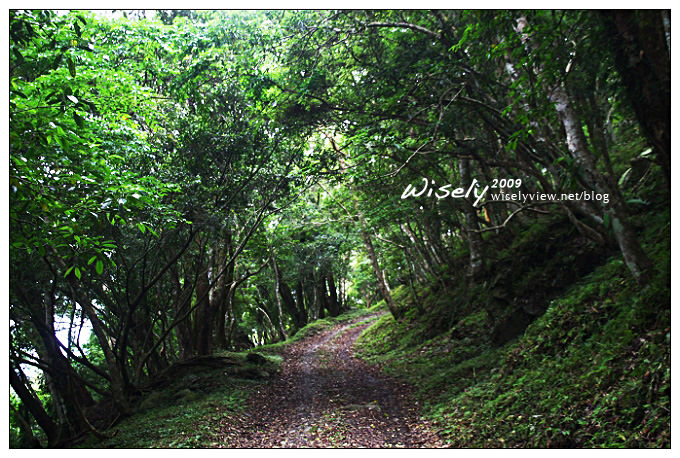 【旅遊】知足之旅：卡地布部落文化、原住民傳唱、知本白榕． (5)