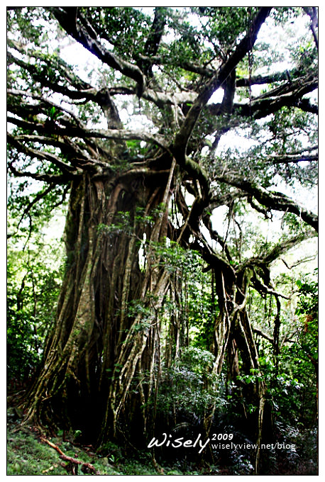 【旅遊】知足之旅：卡地布部落文化、原住民傳唱、知本白榕． (5)