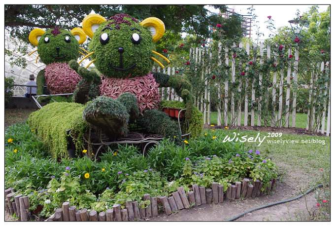 「共香盛菊」:2009年士林官邸菊展 (Pentax K-x拍攝) 「共香盛菊」:2009年士林官邸菊展 (Pentax K-x拍攝)