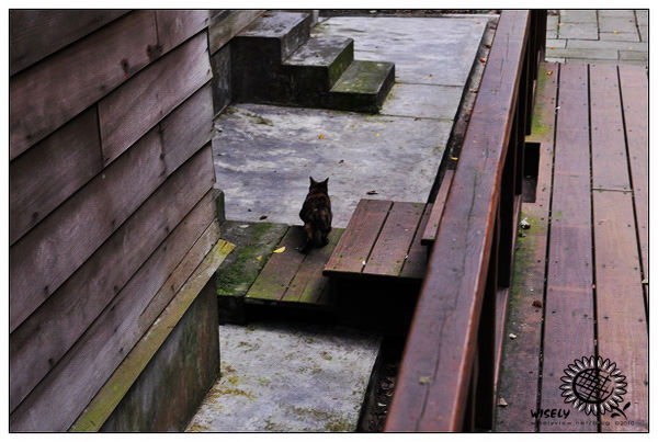 【隨拍】Nikon D90：桃園．忠烈祠/桃園神社 (圖多)