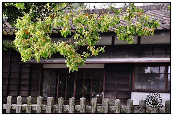 【隨拍】Nikon D90：桃園．忠烈祠/桃園神社 (圖多)