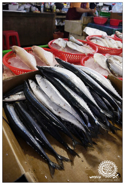 【遊記】Panasonic GF1：桃園新屋．永安漁港 2010