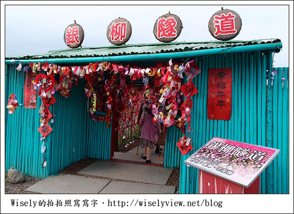 【新年】2011宜蘭．年初二：三星鄉銀柳節＆稻草編織作品(XZ1隨手拍)