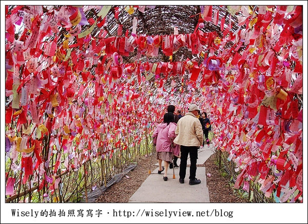 【新年】2011宜蘭．年初二：三星鄉銀柳節＆稻草編織作品(XZ1隨手拍)