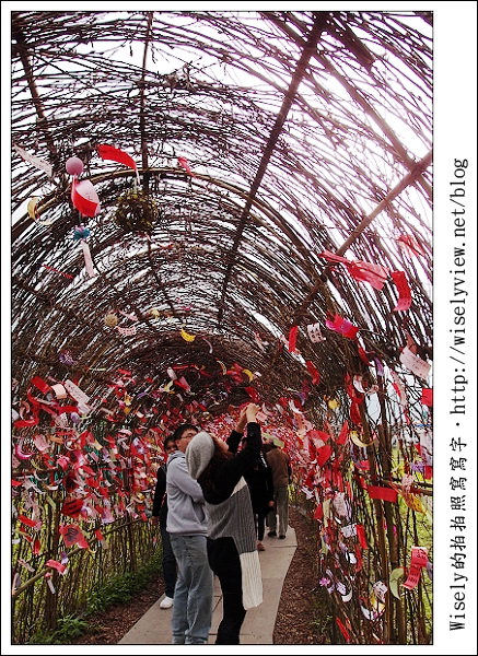 【新年】2011宜蘭．年初二：三星鄉銀柳節＆稻草編織作品(XZ1隨手拍)