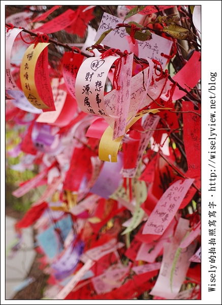 【新年】2011宜蘭．年初二：三星鄉銀柳節＆稻草編織作品(XZ1隨手拍)