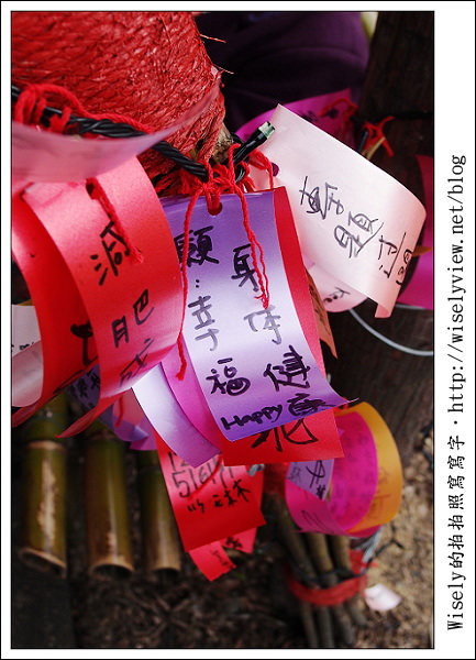【新年】2011宜蘭．年初二：三星鄉銀柳節＆稻草編織作品(XZ1隨手拍)