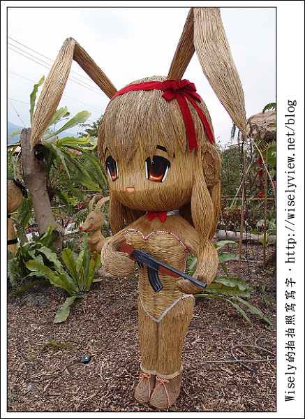 【新年】2011宜蘭．年初二：三星鄉銀柳節＆稻草編織作品(XZ1隨手拍)