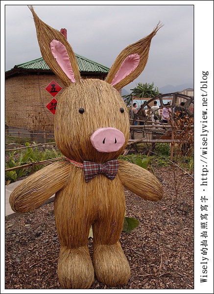 【新年】2011宜蘭．年初二：三星鄉銀柳節＆稻草編織作品(XZ1隨手拍)