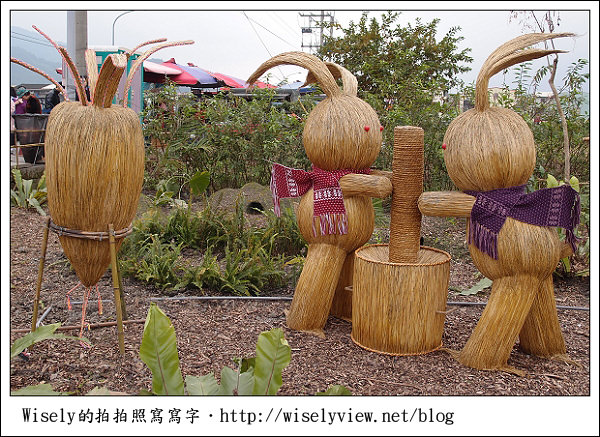 【新年】2011宜蘭．年初二：三星鄉銀柳節＆稻草編織作品(XZ1隨手拍)