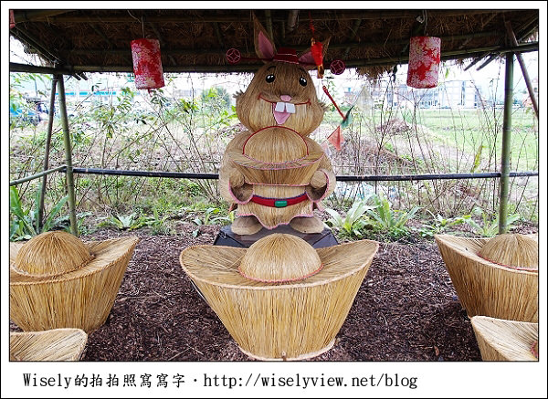 【新年】2011宜蘭．年初二：三星鄉銀柳節＆稻草編織作品(XZ1隨手拍)