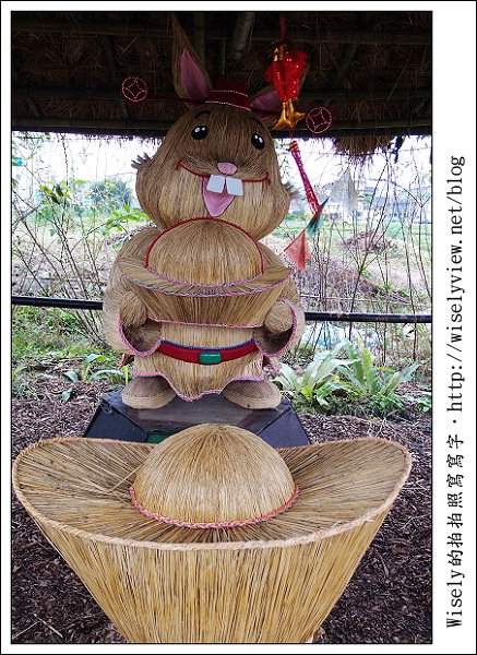 【新年】2011宜蘭．年初二：三星鄉銀柳節＆稻草編織作品(XZ1隨手拍)