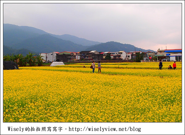 【新年】2011宜蘭．年初二：三星鄉銀柳節＆稻草編織作品(XZ1隨手拍)