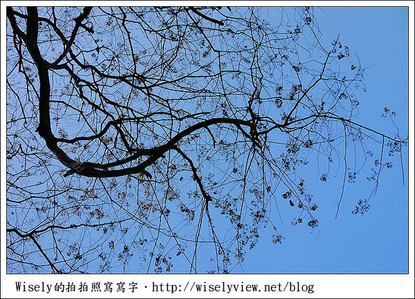 【新年】2011台北．年初四：公館台大走春隨拍(GF1+GF2)