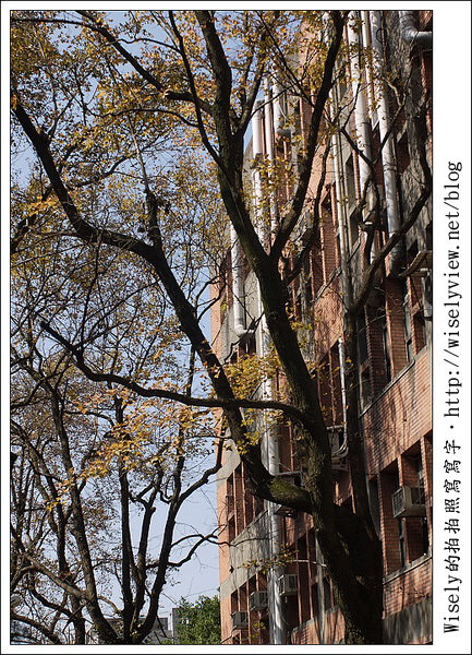 【新年】2011台北．年初四：公館台大走春隨拍(GF1+GF2)