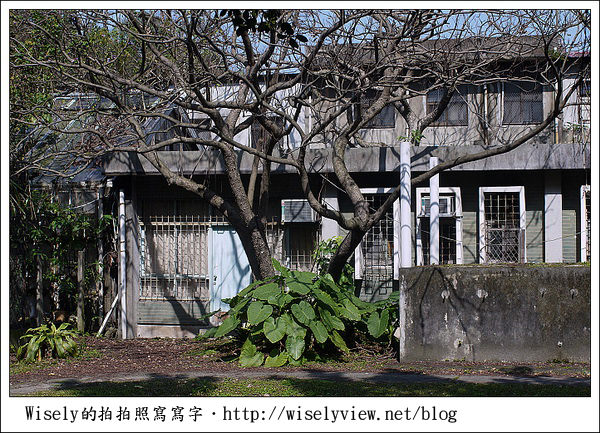 【新年】2011台北．年初四：公館台大走春隨拍(GF1+GF2)