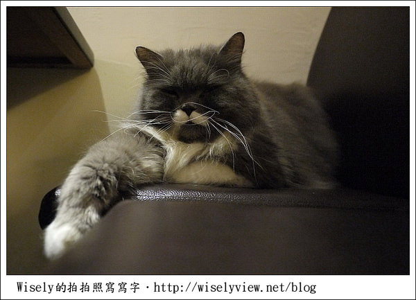 【新年】2011台北．年初四：公館台大走春隨拍(GF1+GF2)