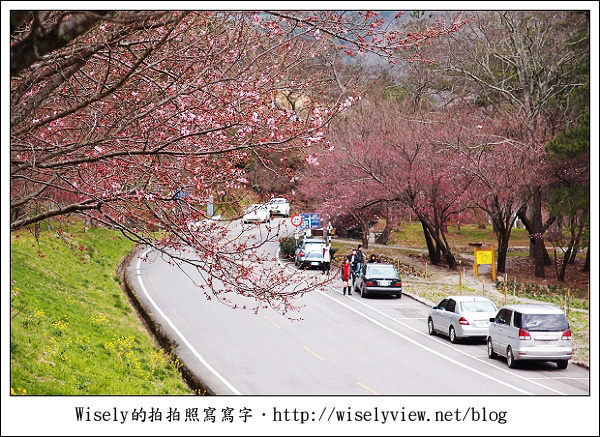 【遊記】台中．和平鄉：武陵農場除夕訪櫻行／含交通資訊 (XZ1隨手拍)