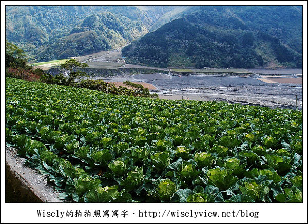 【遊記】台中．和平鄉：武陵農場除夕訪櫻行／含交通資訊 (XZ1隨手拍)