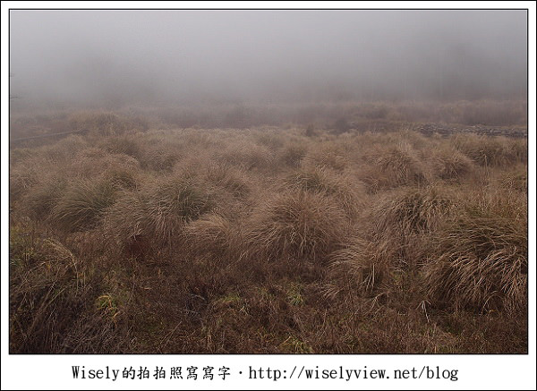 【遊記】台中．和平鄉：武陵農場除夕訪櫻行／含交通資訊 (XZ1隨手拍)