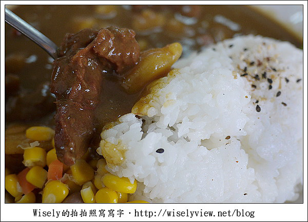 【食記】台北‧近通化街商圈：鴻嘉咖哩飯(非芶芡日式口味) @WISELY&#039;s 拍拍照寫寫字