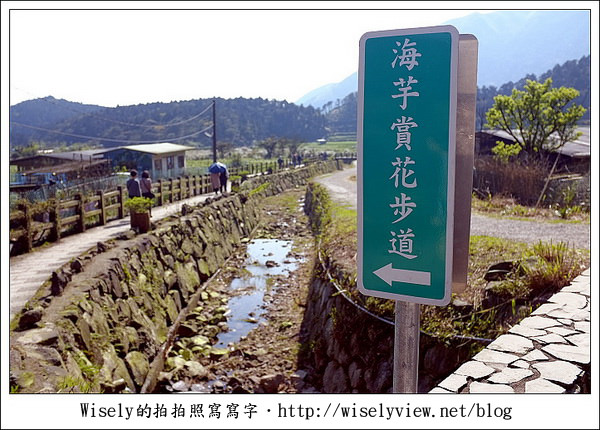 【遊玩】2011陽明山竹子湖海芋,景點與拍攝心得分享 (Fujifilm FinePix X100) 【遊玩】2011陽明山竹子湖海芋,景點與拍攝心得分享 (Fujifilm FinePix X100)