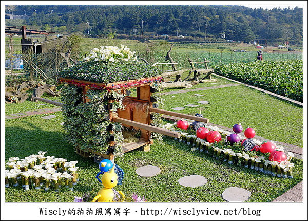 【遊玩】2011陽明山竹子湖海芋,景點與拍攝心得分享 (Fujifilm FinePix X100) 【遊玩】2011陽明山竹子湖海芋,景點與拍攝心得分享 (Fujifilm FinePix X100)