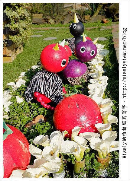 【遊玩】2011陽明山竹子湖海芋,景點與拍攝心得分享 (Fujifilm FinePix X100) 【遊玩】2011陽明山竹子湖海芋,景點與拍攝心得分享 (Fujifilm FinePix X100)