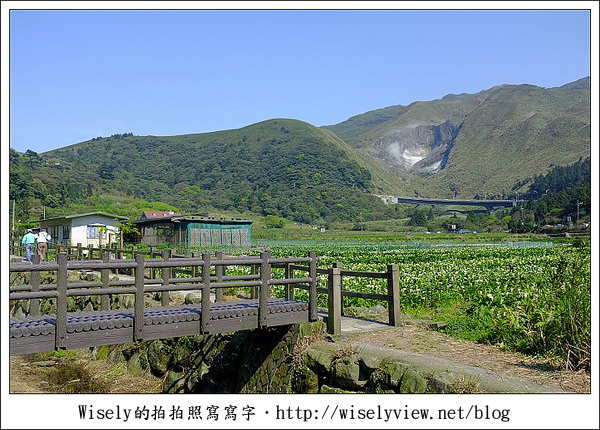 【遊玩】2011陽明山竹子湖海芋,景點與拍攝心得分享 (Fujifilm FinePix X100) 【遊玩】2011陽明山竹子湖海芋,景點與拍攝心得分享 (Fujifilm FinePix X100)