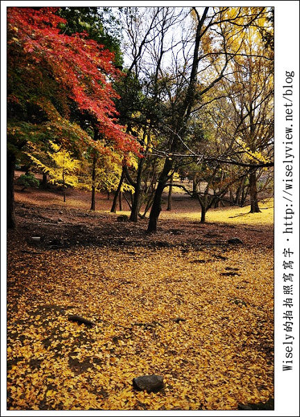 【心情】2011關西(京阪神)-00～Pray For Japan! @WISELY's 拍拍照寫寫字