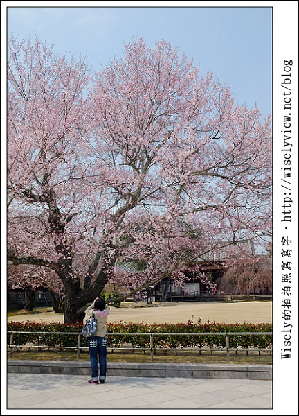 【記事】2011關西(京阪神)-02：今年京都四月初還沒有櫻花~=.=