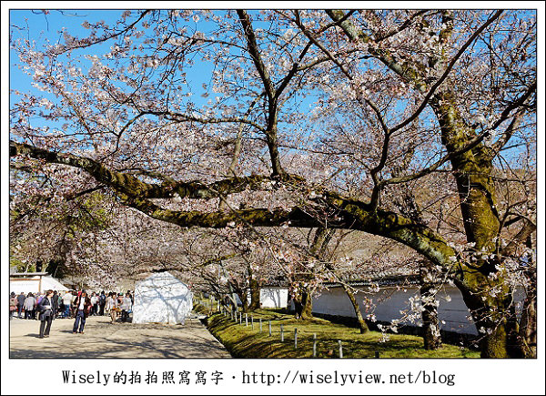 【隨拍】2011關西(京阪神)-04：櫻花七成開的京都醍醐寺 (Fujifilm X100)