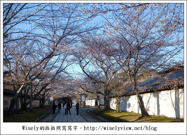 【隨拍】2011關西(京阪神)-04：櫻花七成開的京都醍醐寺 (Fujifilm X100)