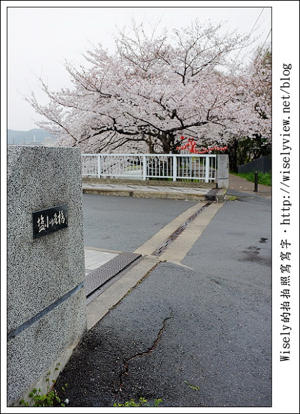 【隨拍】2011關西(京阪神)-09：京都盬小路橋旁的靜默雨櫻 (Fujifilm X100)