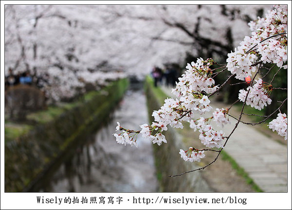 【隨拍】2011關西(京阪神)-13:京都哲學之道裡滿開櫻花美景 (Canon EOS 5D2) 【隨拍】2011關西(京阪神)-13:京都哲學之道裡滿開櫻花美景 (Canon EOS 5D2)