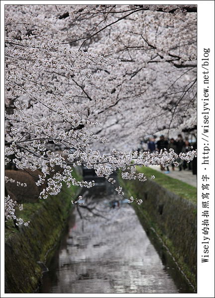 【隨拍】2011關西(京阪神)-13:京都哲學之道裡滿開櫻花美景 (Canon EOS 5D2) 【隨拍】2011關西(京阪神)-13:京都哲學之道裡滿開櫻花美景 (Canon EOS 5D2)