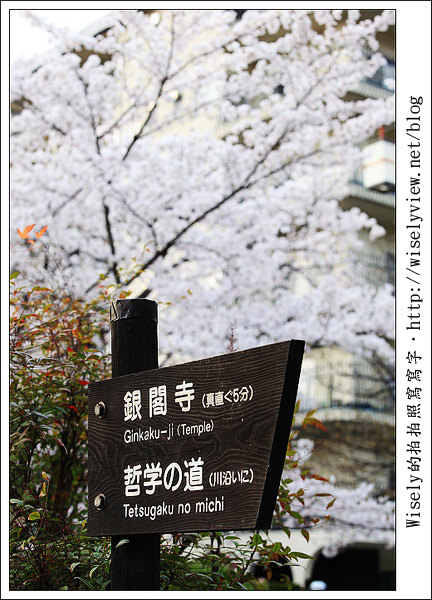 【隨拍】2011關西(京阪神)-13:京都哲學之道裡滿開櫻花美景 (Canon EOS 5D2) 【隨拍】2011關西(京阪神)-13:京都哲學之道裡滿開櫻花美景 (Canon EOS 5D2)